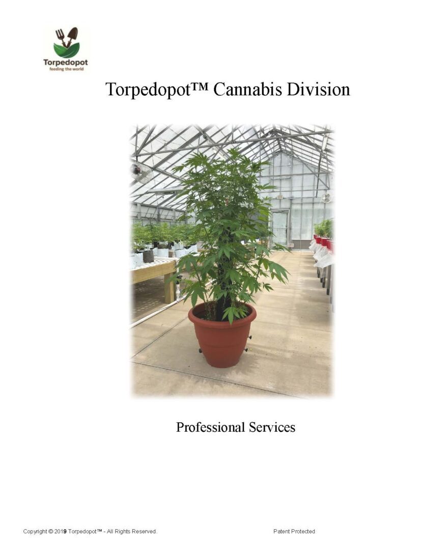 Cannabis Professional Services_Page_01