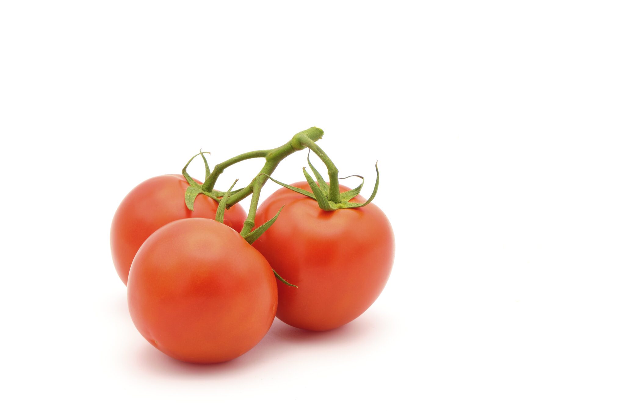 Three vine ripened red tomatoes photographed on a white background with ample copy space.