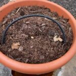 Torpedopot grow feeding stick