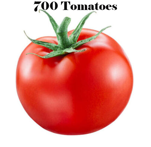 700 tomatoes