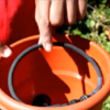 Grow stick irrigation torpedopot