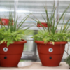 Garden irrigation system