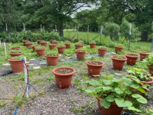 irrigation off-grid torpedopot