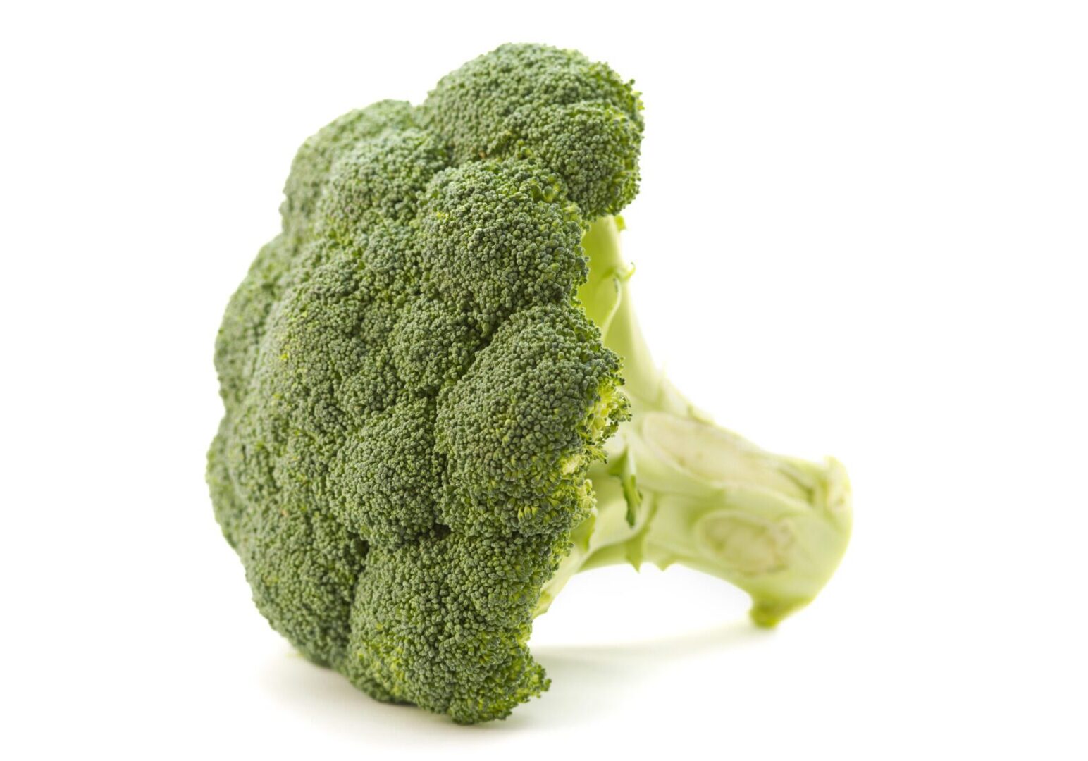 A close-up of a broccoli on white background.Broccoli is a plant in the cabbage family, whose large flower head is used as a vegetable.