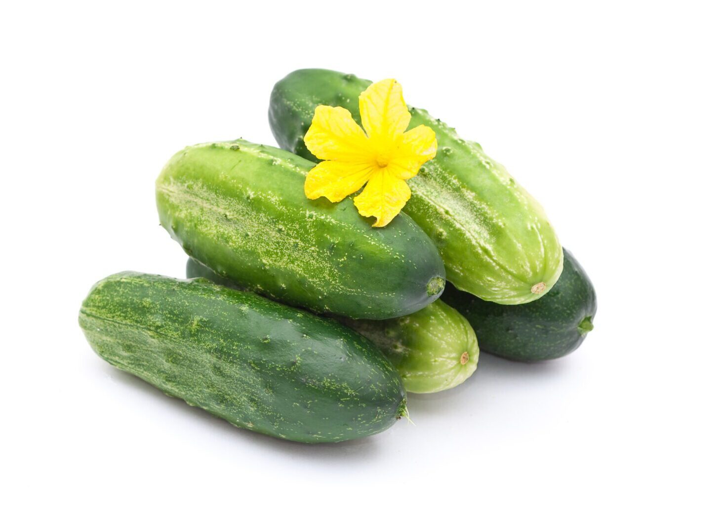 cucumbers-2021-08-27-15-47-00-utc