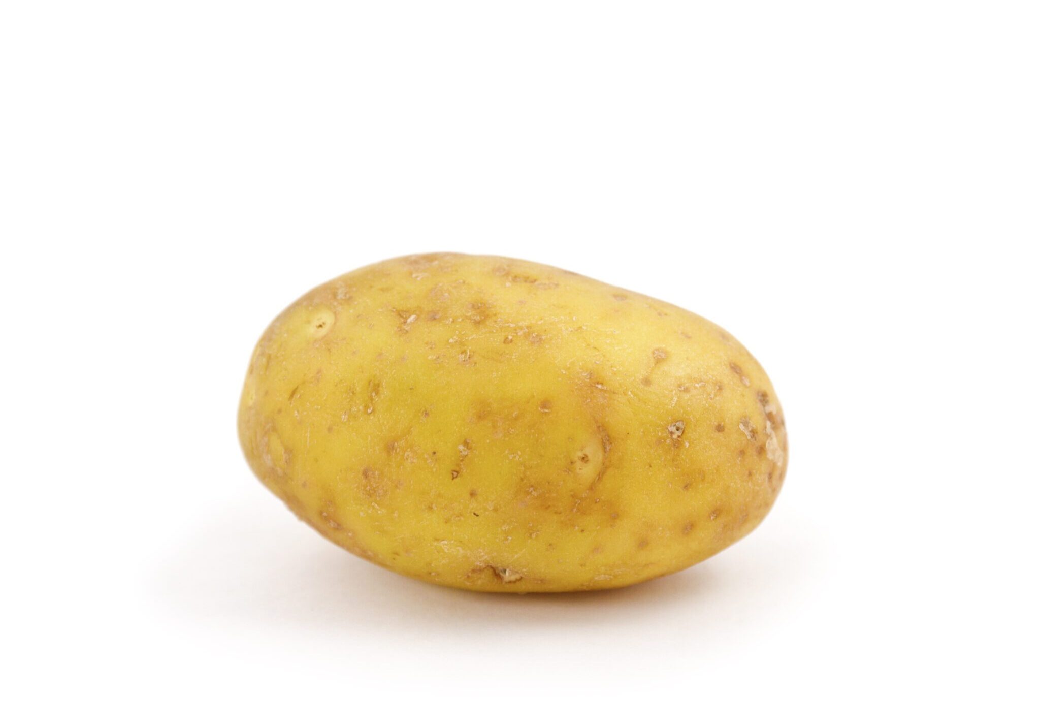 Potato on white background.