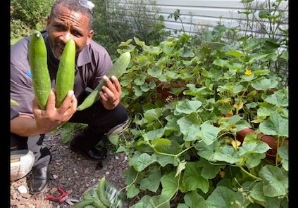 A man holding home grown zucchini squash